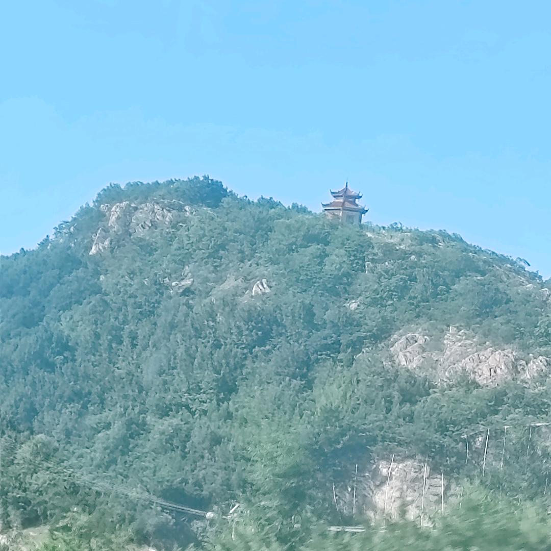 想你的倔驴