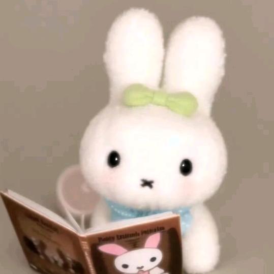 𝙔𝙪𝙞𝙞ᵒᵏ.