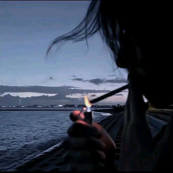 沐沐蓝桉