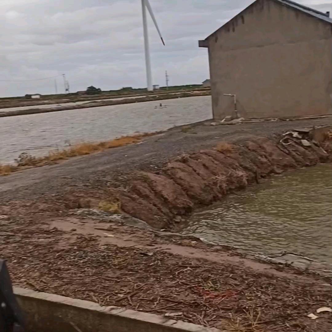 🌹🇨🇳清晨🇨🇳🌹