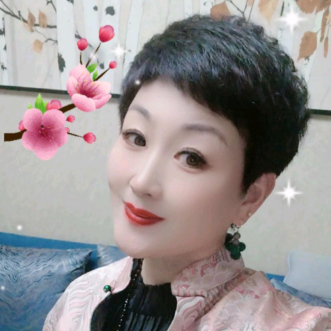 💓花💓瓣💓雨💗