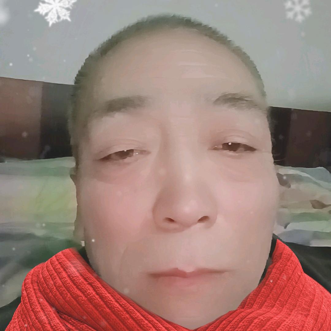 田红新