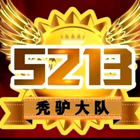 初心（秃驴大队5213）
