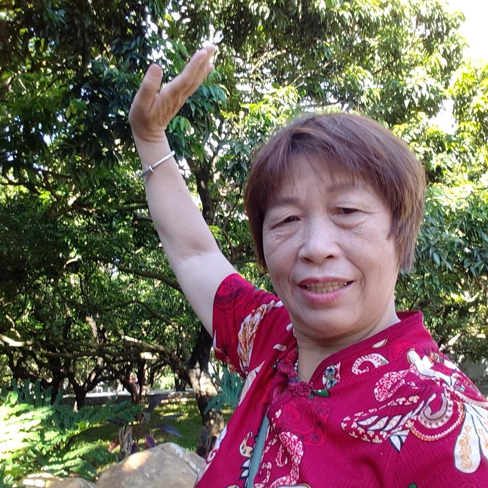 玫瑰姐小号晚上七点半开播