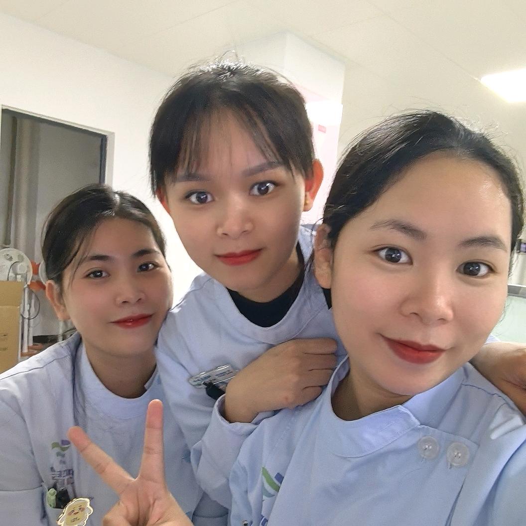 临高小云云