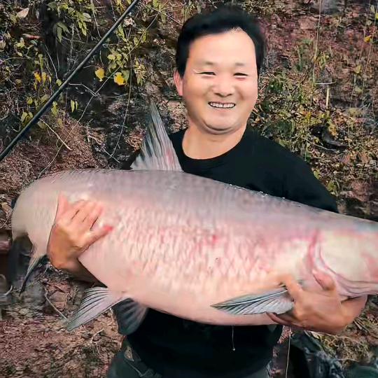 小武哥（户外欧鲤野钓）