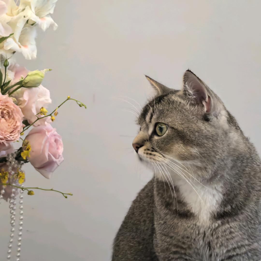 。。。。。。。。