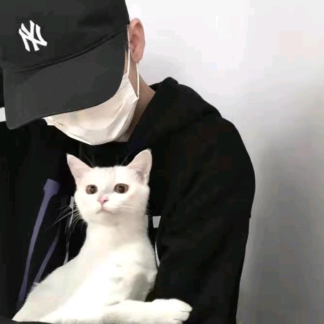 联机单机游戏大李子