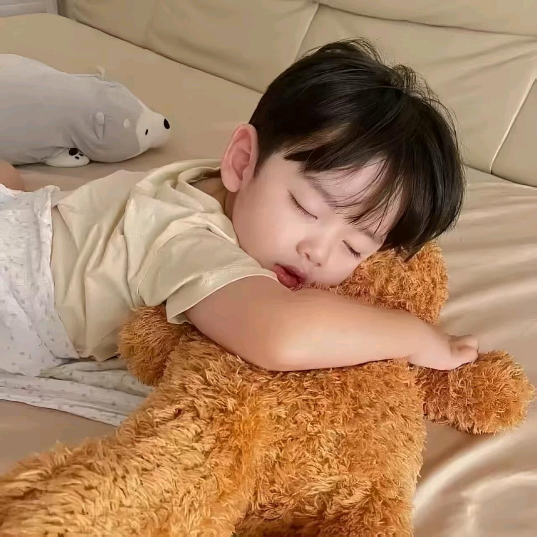 棉椰