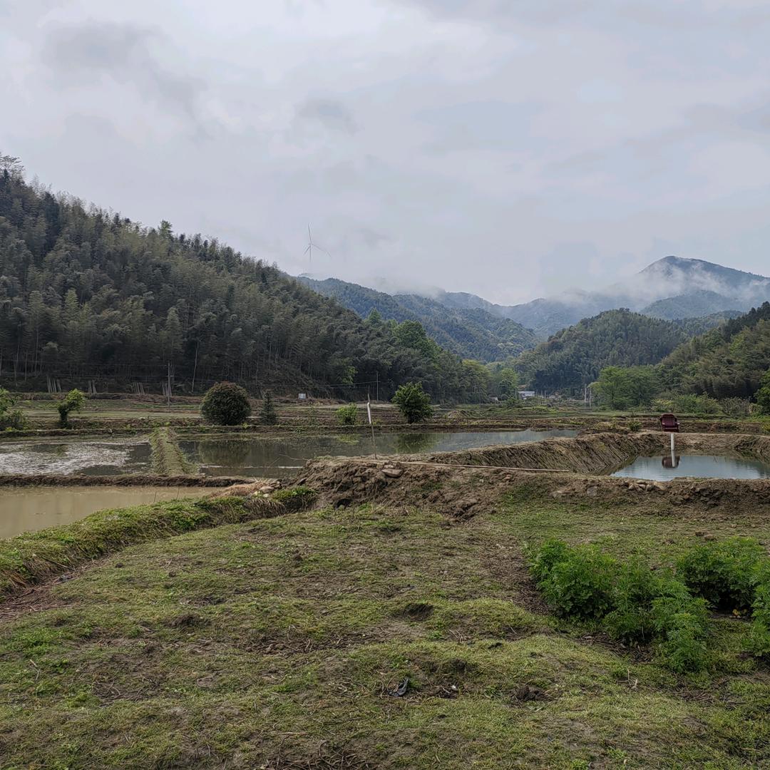 👒悠悠然🧚‍♂️🧚‍♀️