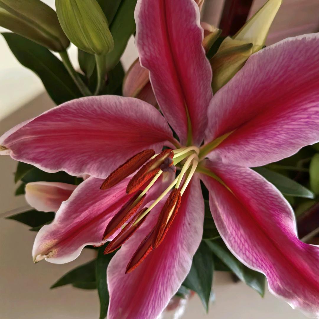 💕清雅谈然🌺