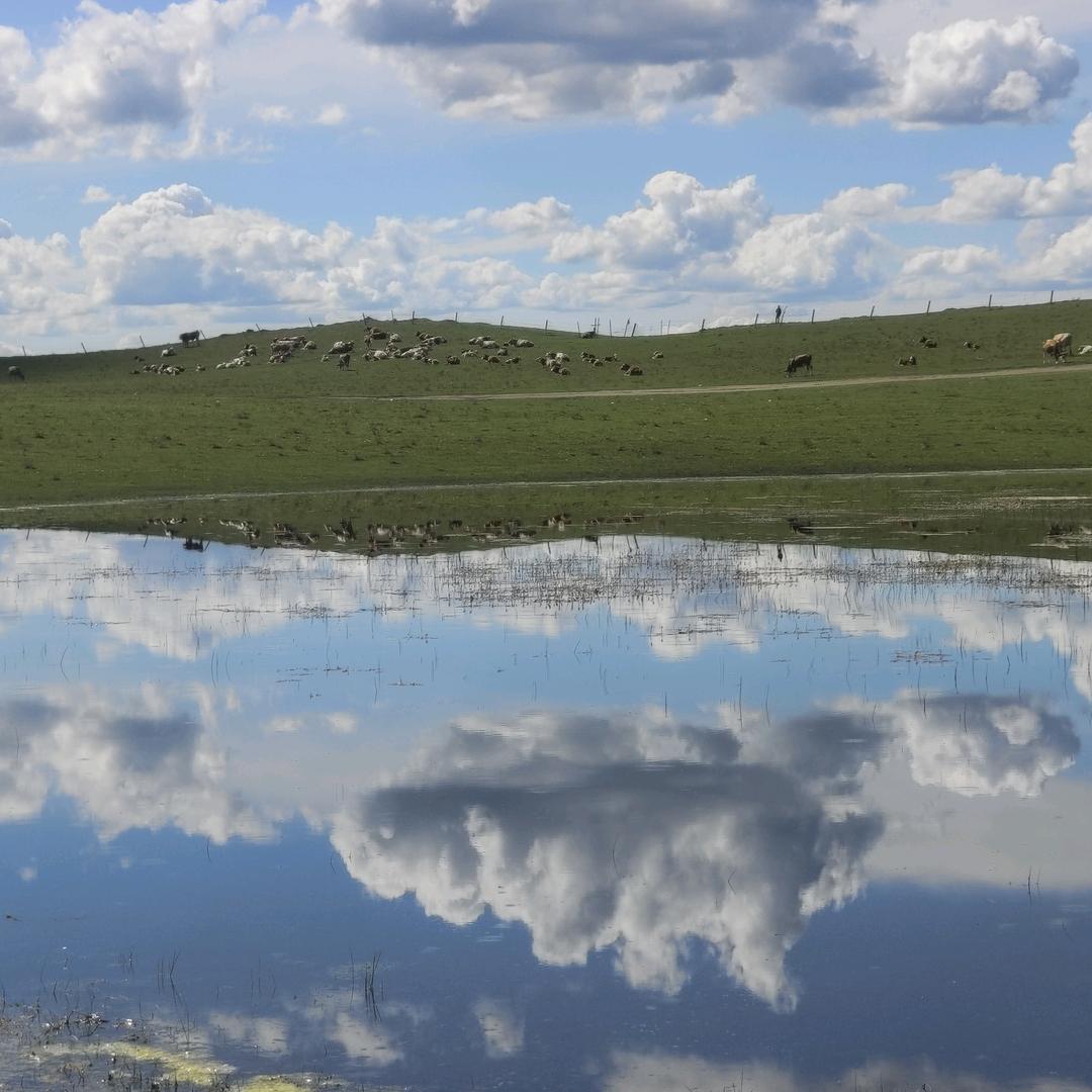 车祸工伤理赔指导老师