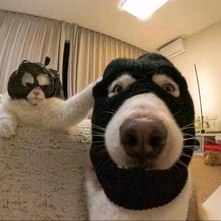 怎以月写我心