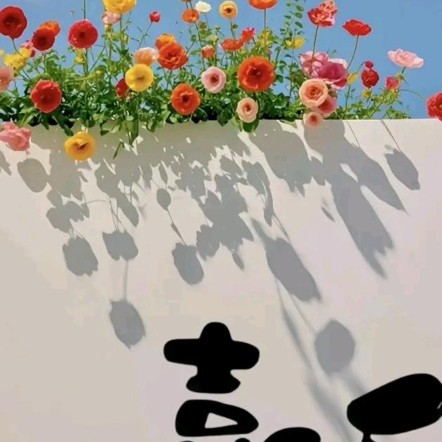 大轩