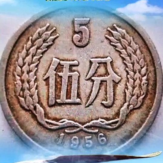 古币猎人