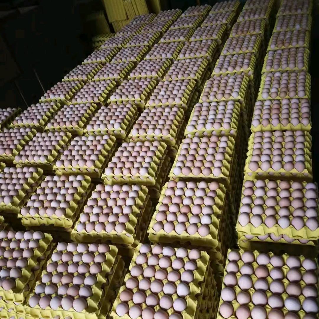 贵厨小龙一一铜仁贵厨食品配送