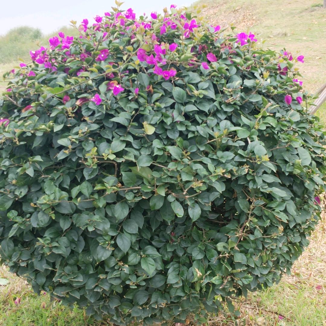 省省一点都不省