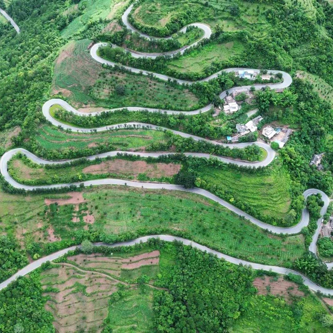 阿洛