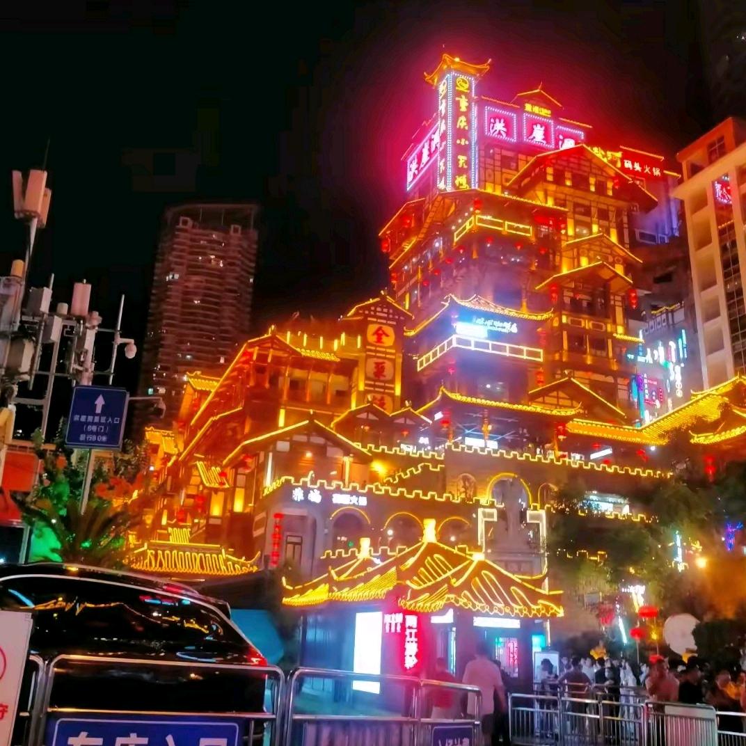 巷子里的猫🇨🇳