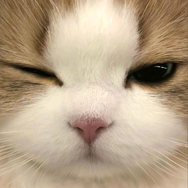 春和