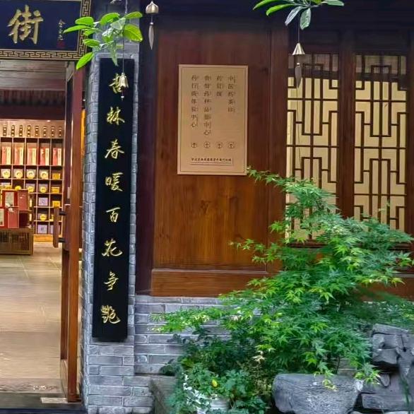 言主任聊康养