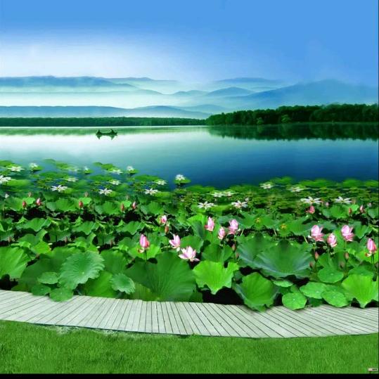 三斗哥（唱伤感歌曲🎤）