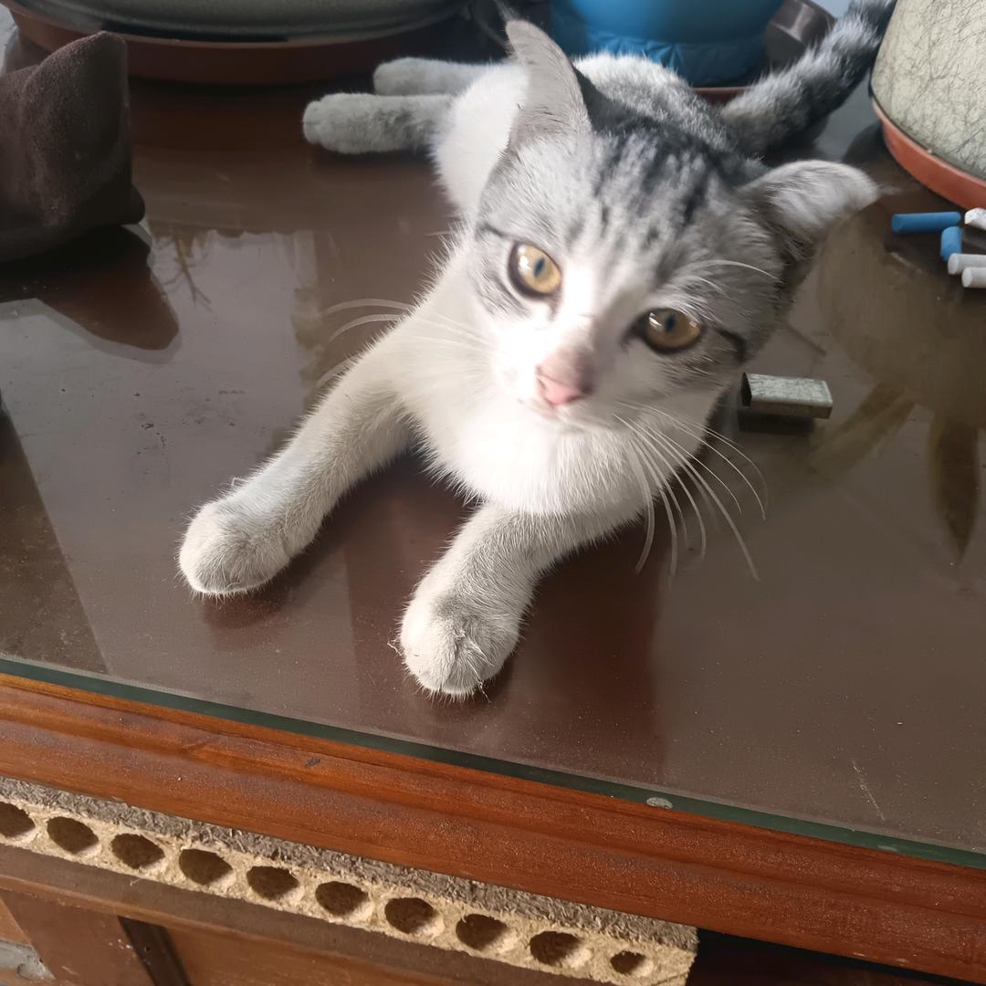 哎！你