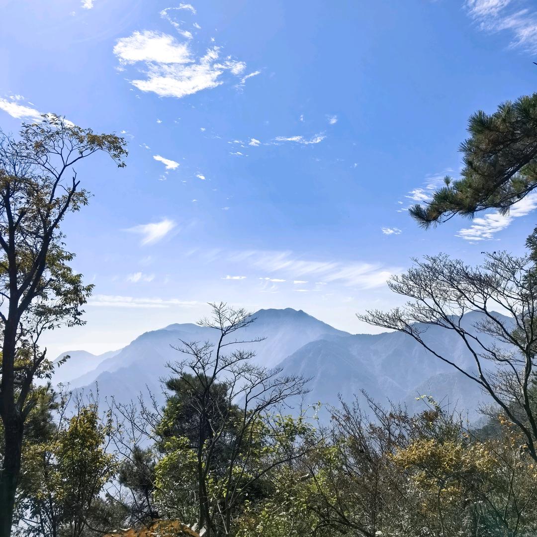 葫芦鹿