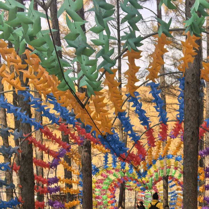 牡丹江市弘跃汽车租赁有限公司