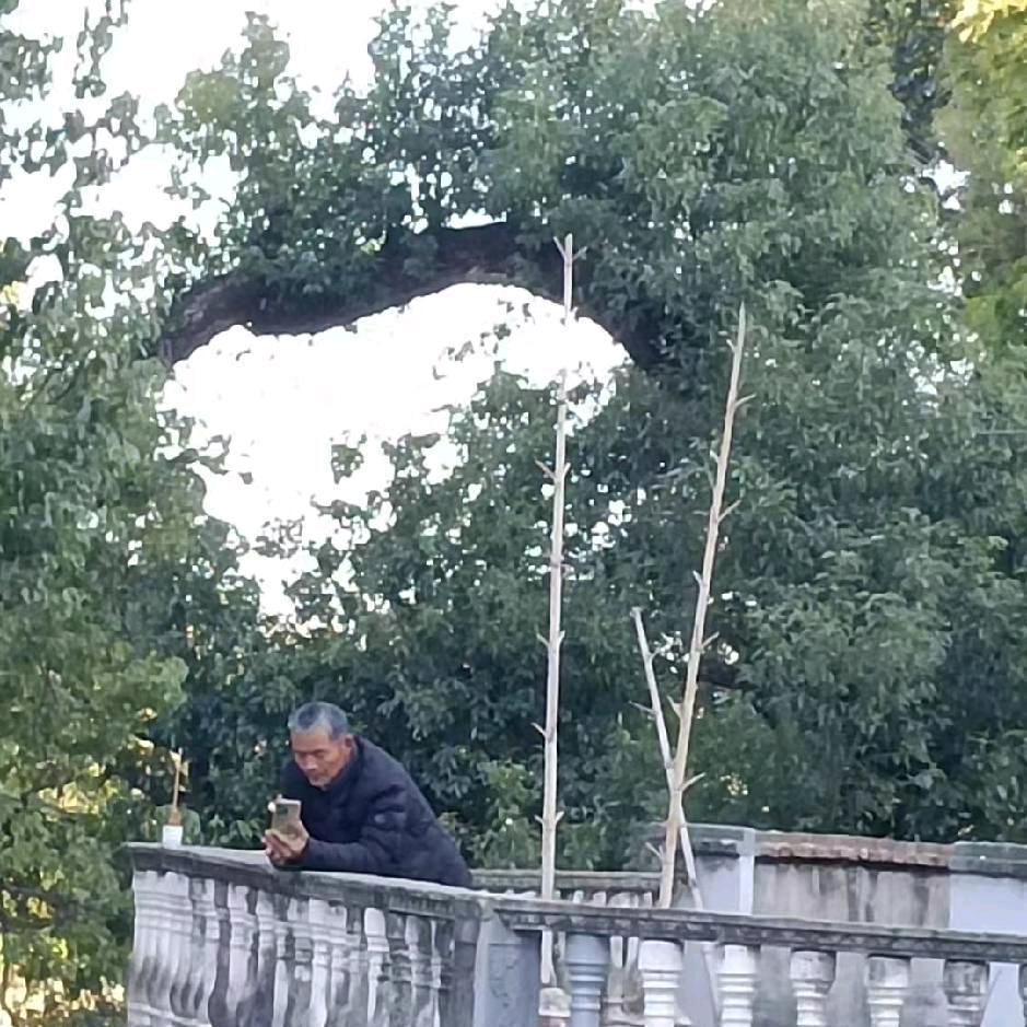 人生自古谁无死，留取丹心照汗青