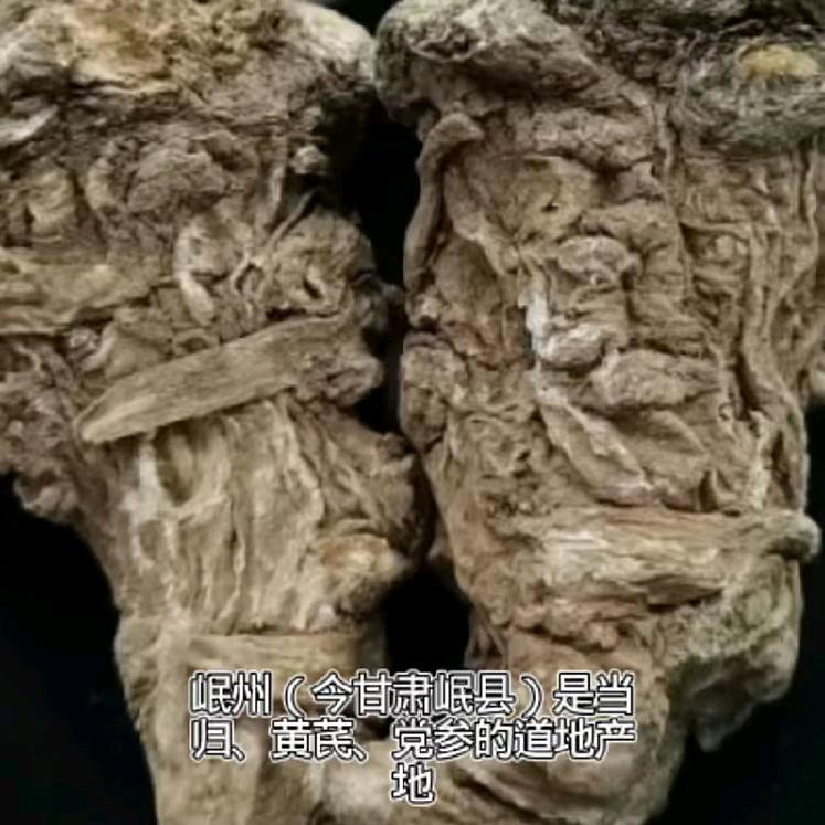 甘肃岷县原产地中药材