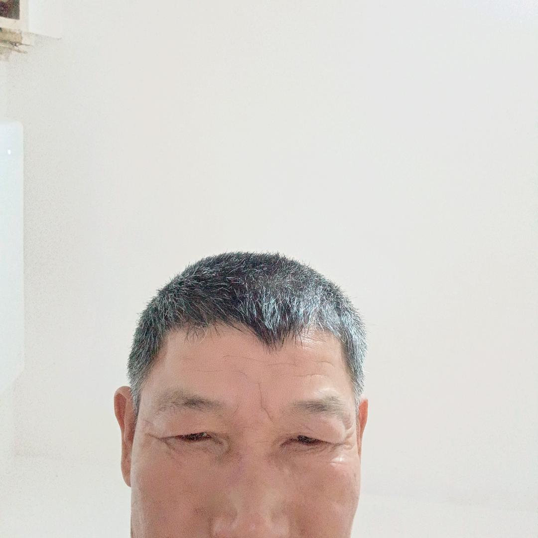 一只婉大号
