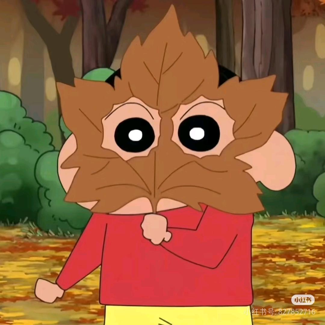 是娃哈哈呀