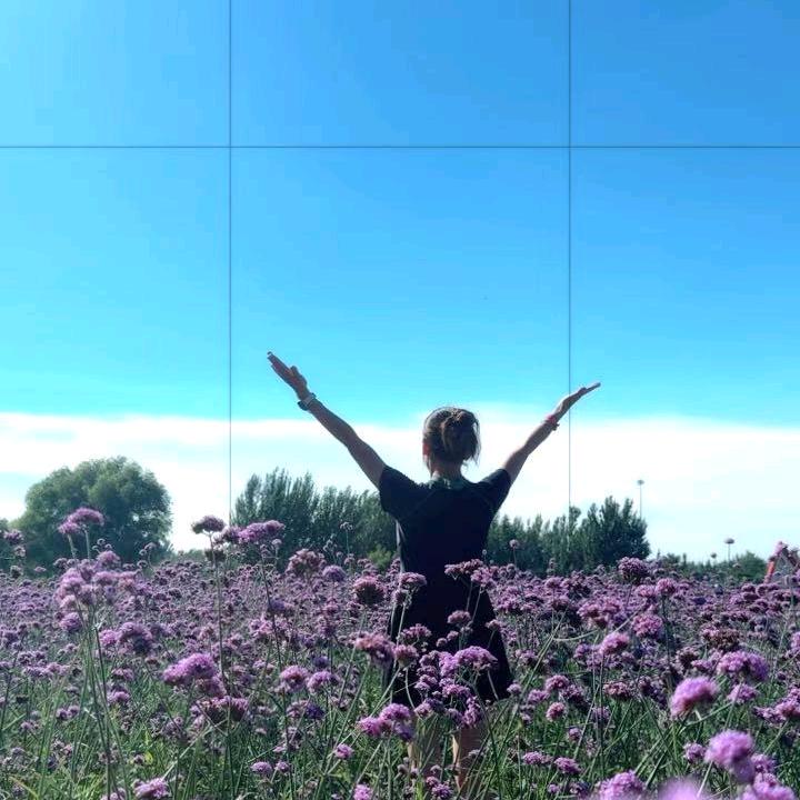抖个金子
