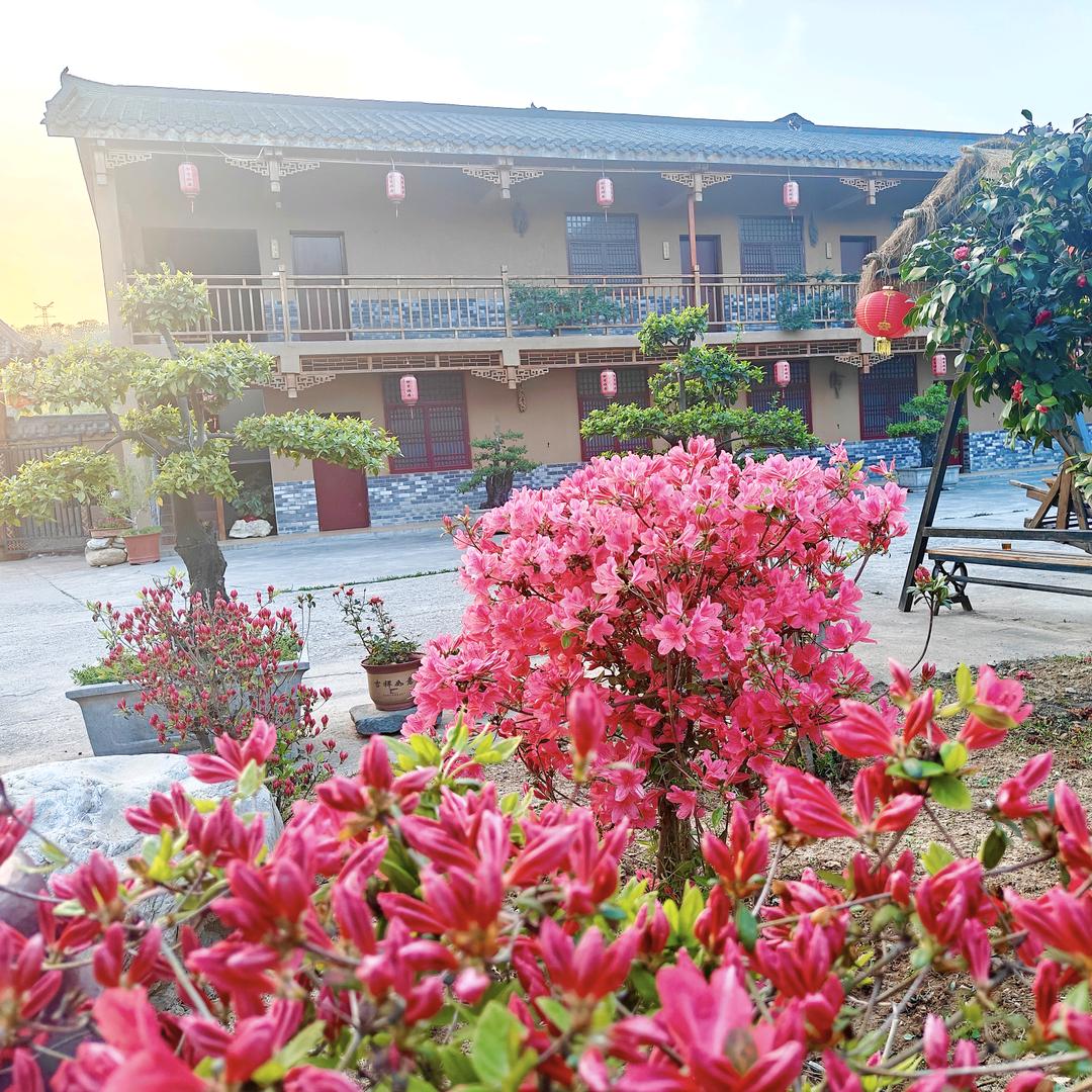 山雲里神农药膳