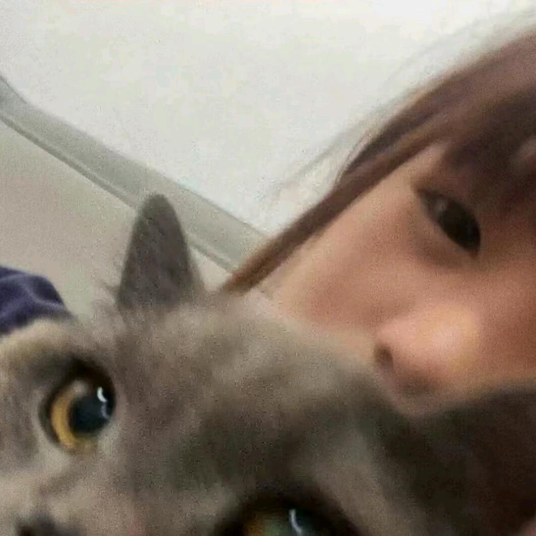 随便
