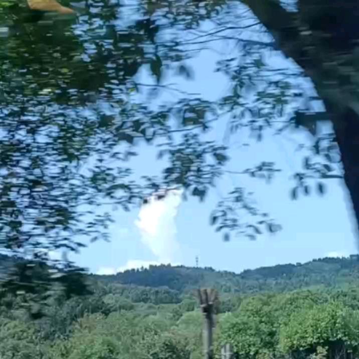 。蓝念哥