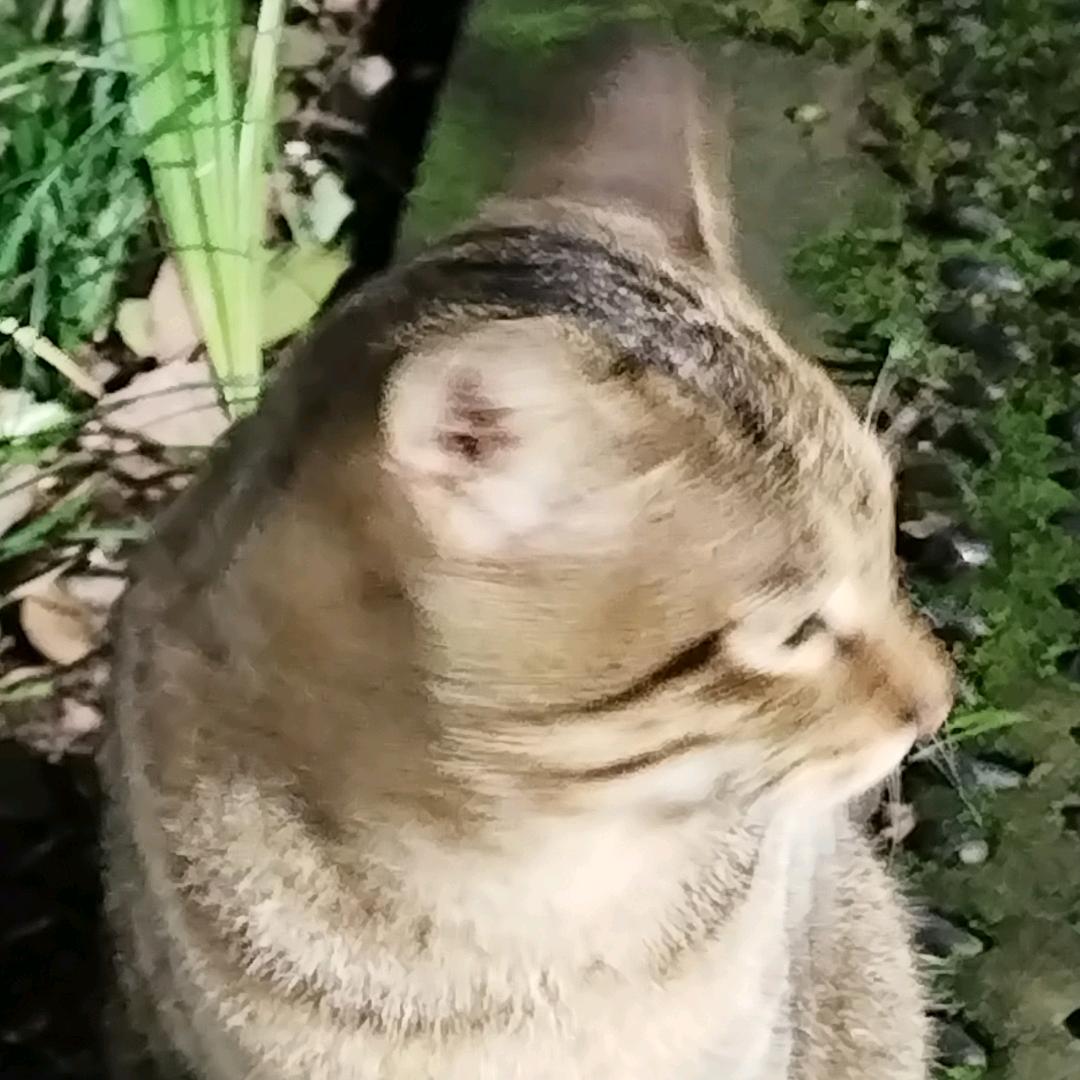 12304🙈🙉🙊🐵🐒