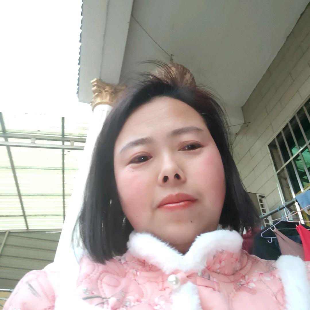 琴