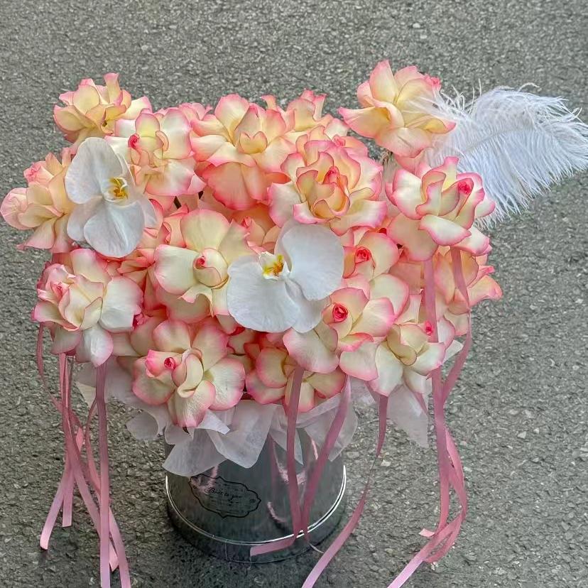 是阿红呀🍀（努力版）