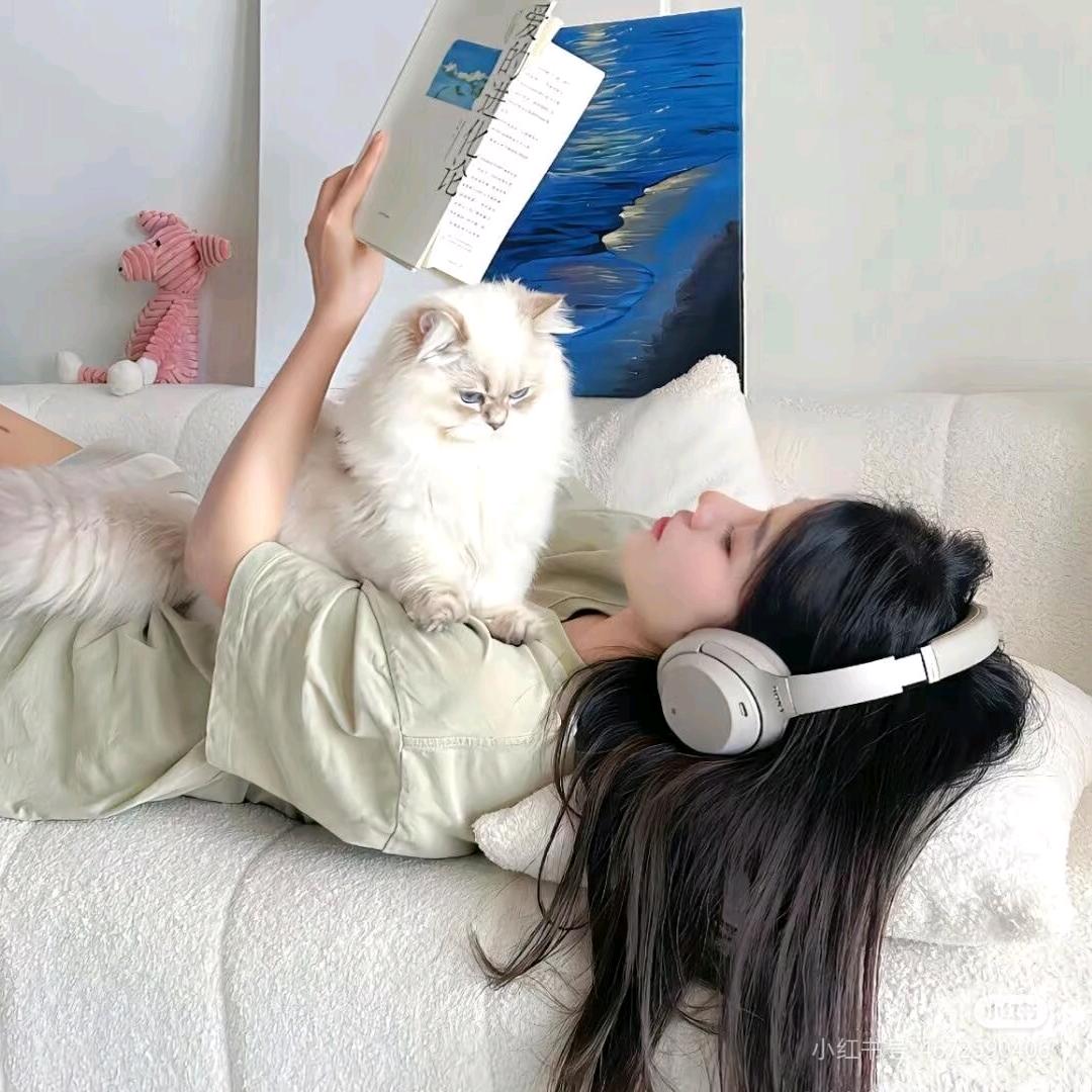 聆夏