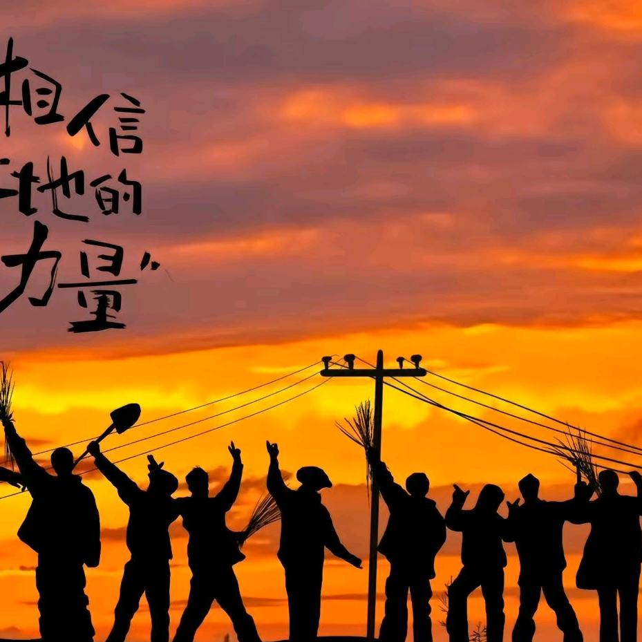 🌾野生小向日葵🌾