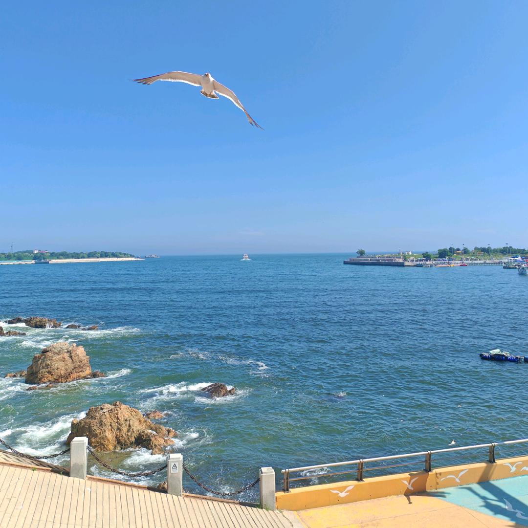 ♚火柴棒👍🏻