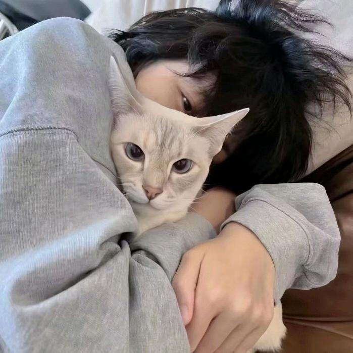 看看聊天记录