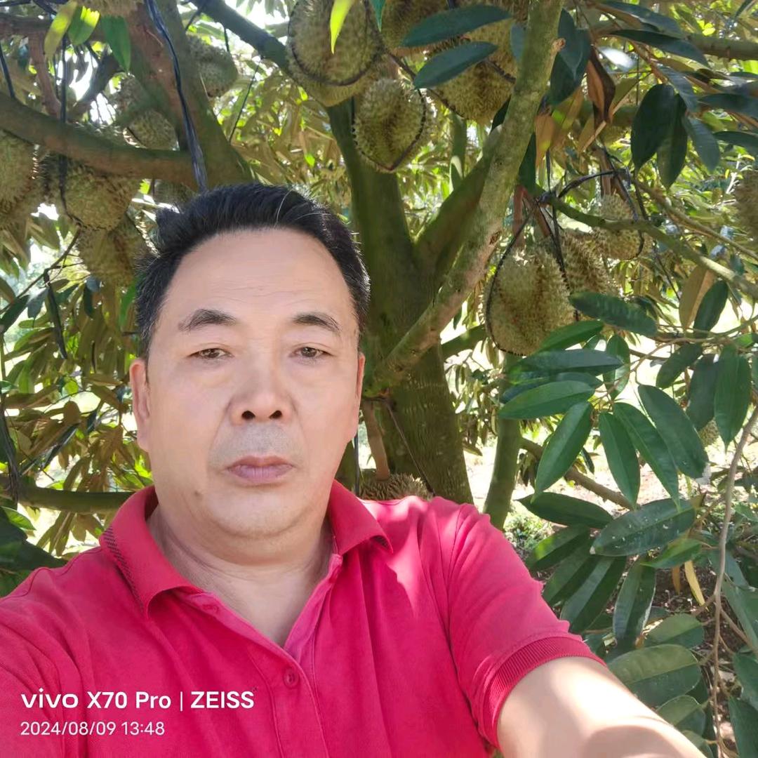 榴连老师