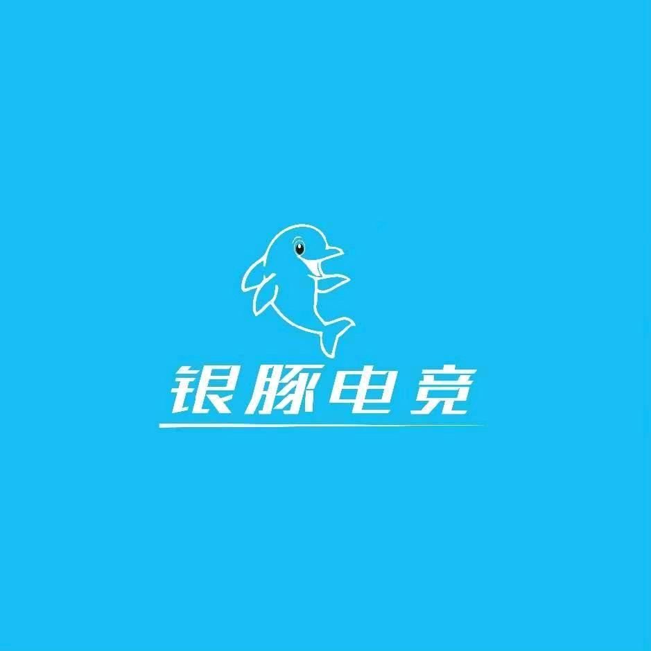银豚电竞（制高点店）
