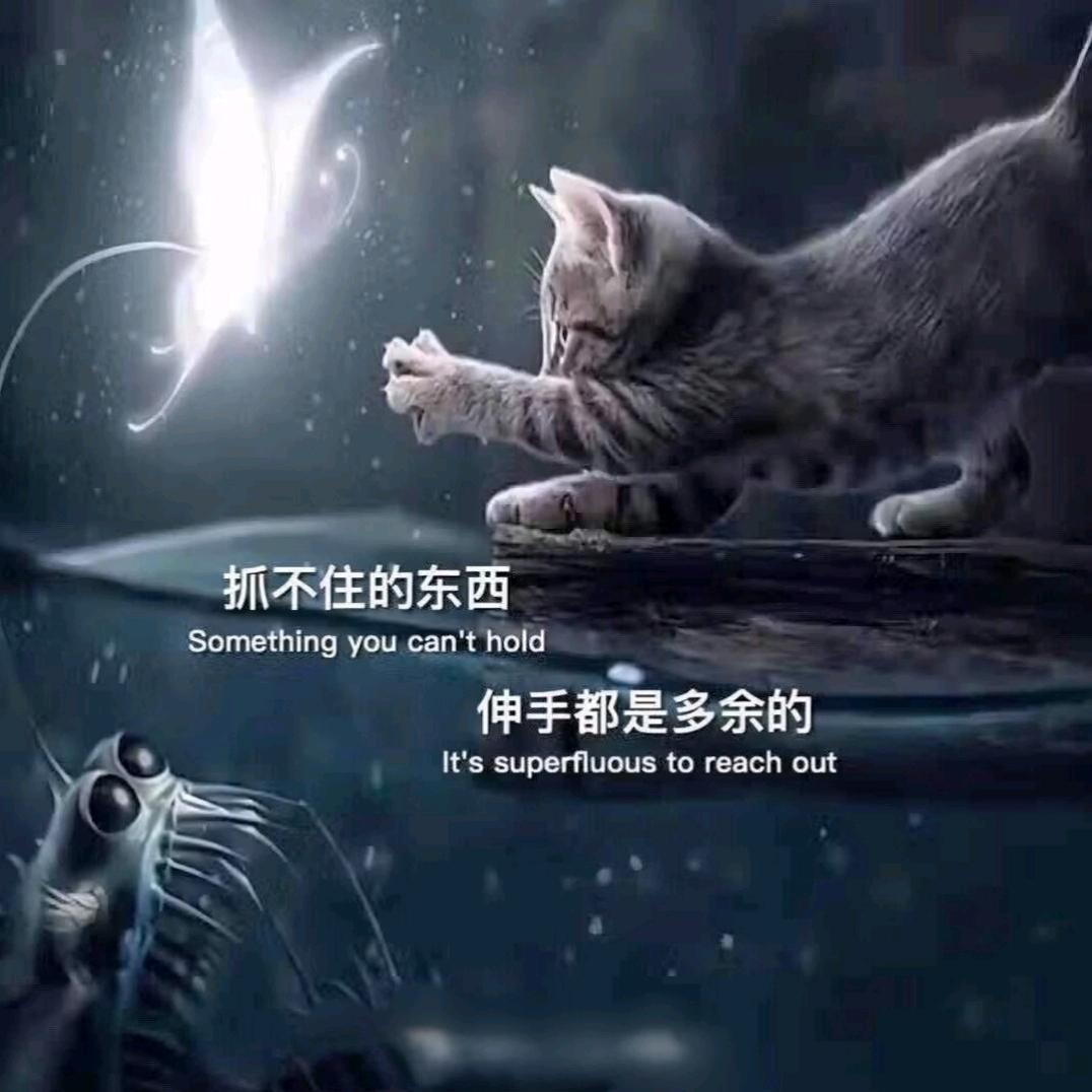 ꧁꫞零晨的起点꫞꧂