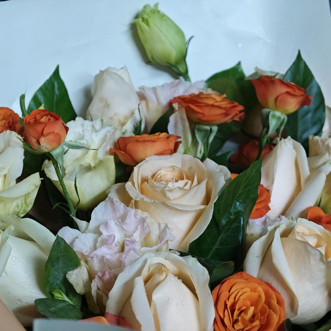 春意盎然🇨🇳