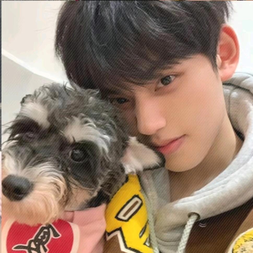 玉米也想无忧无虑