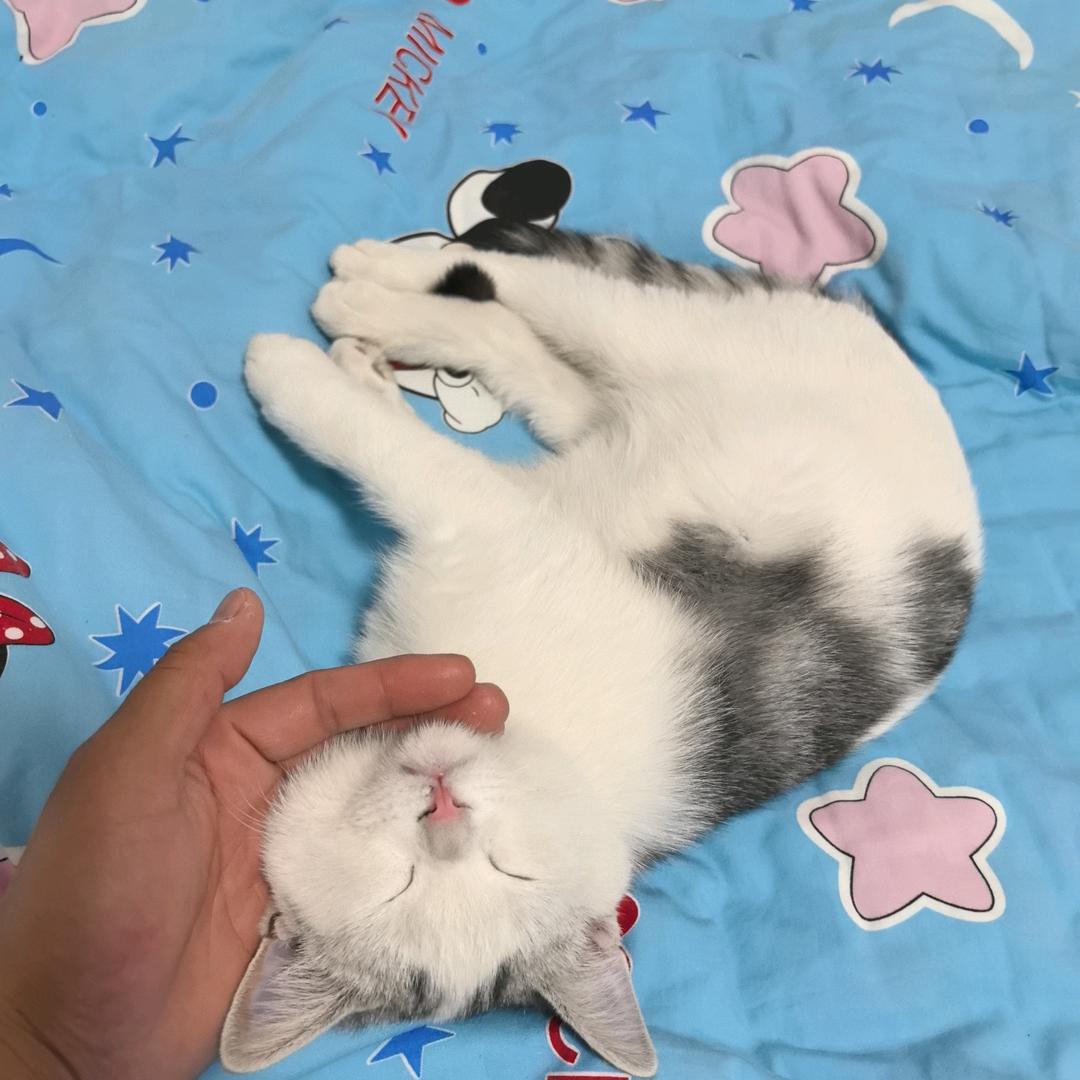 靳..